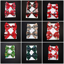 Load image into Gallery viewer, Christmas Pigtail Bow 2 piece 3.5 inch